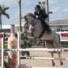 For the Love of Horses