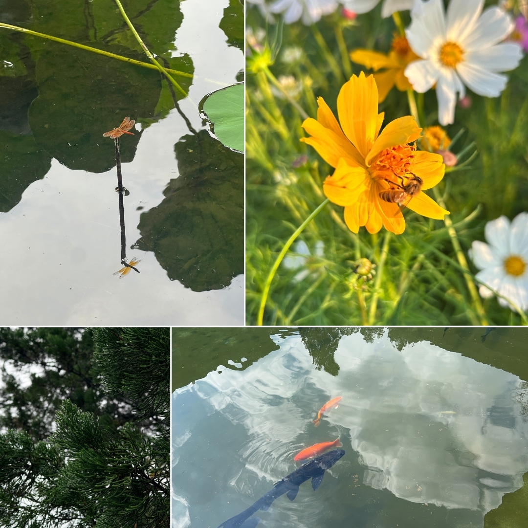 Life through the Lens of a Nature Lover